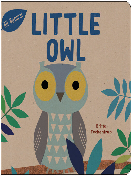 Cover image for Little Owl